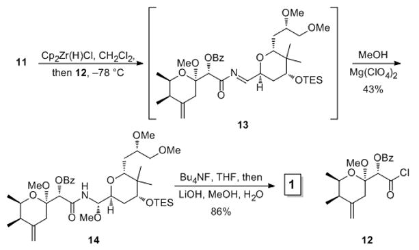 Scheme 3