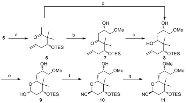 Scheme 2