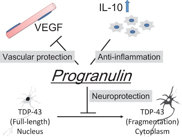 Fig. 6.