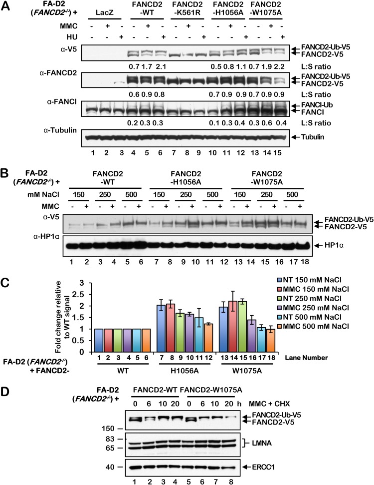 FIG 3