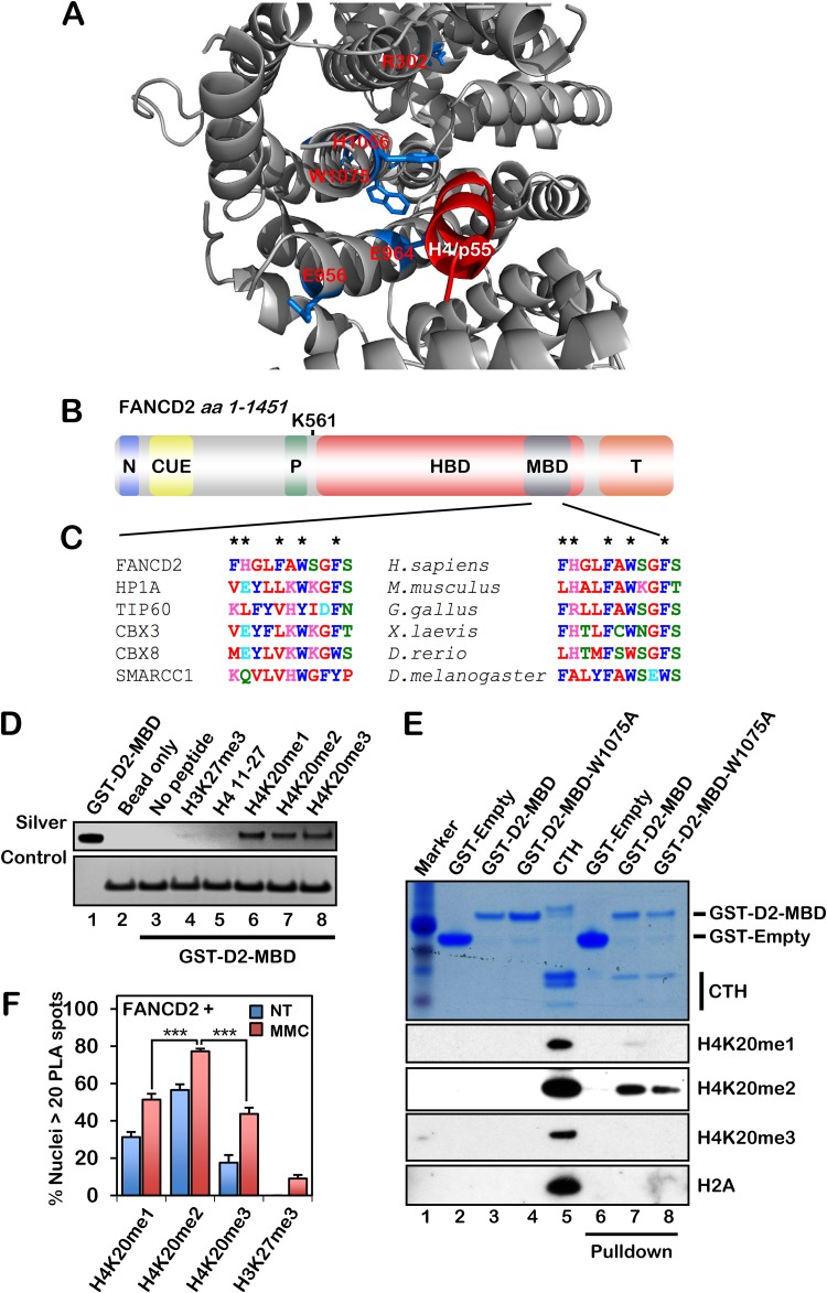 FIG 1