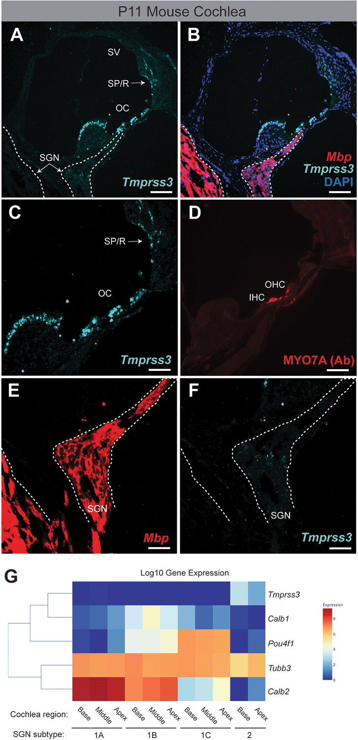 Figure 2: