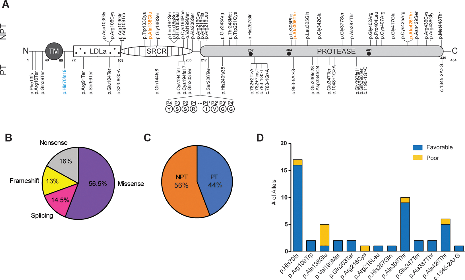 Figure 1: