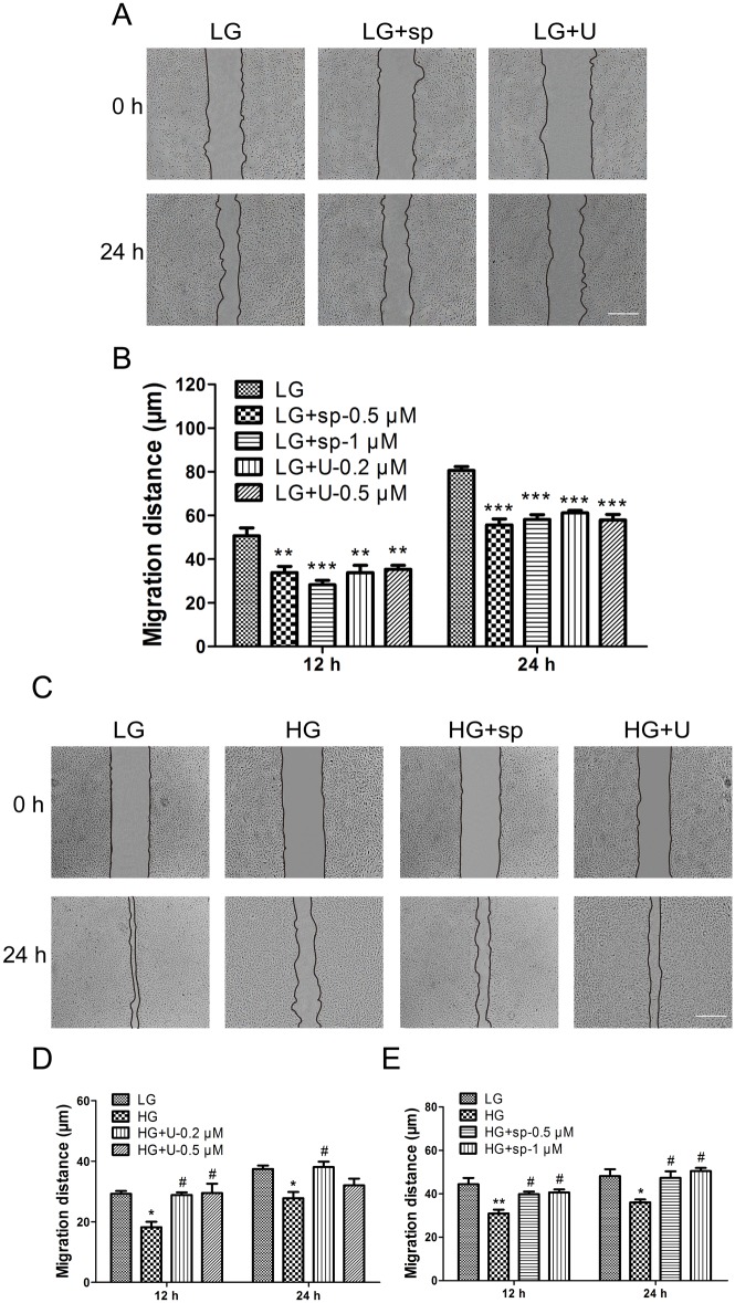 Fig 5