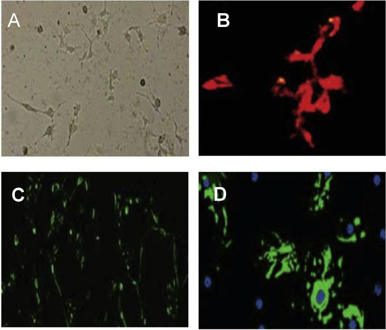 Figure 5