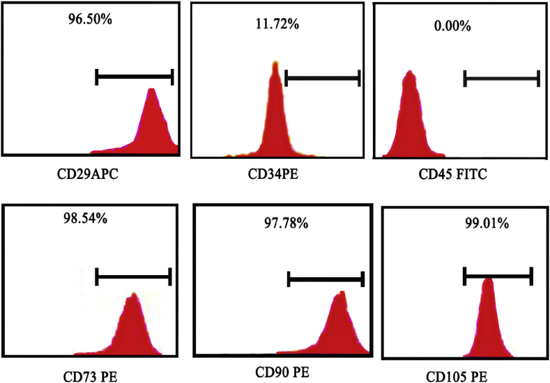 Figure 3