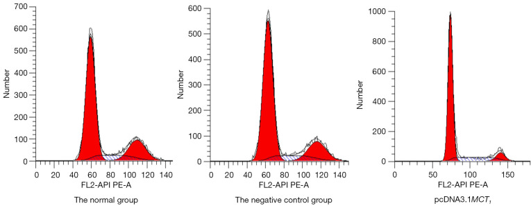 Figure 11