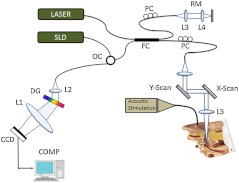 Fig. 1