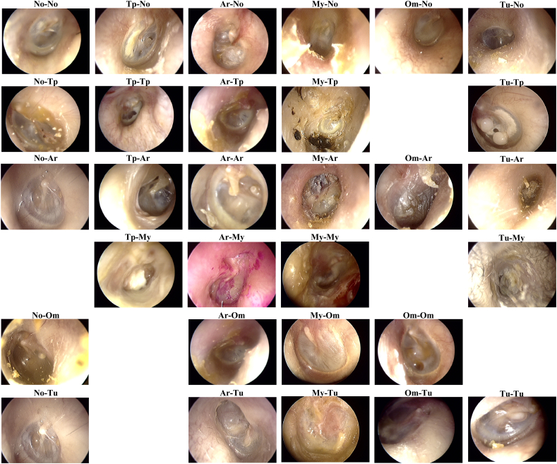 Fig. 8