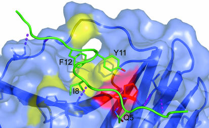 Fig. 3.