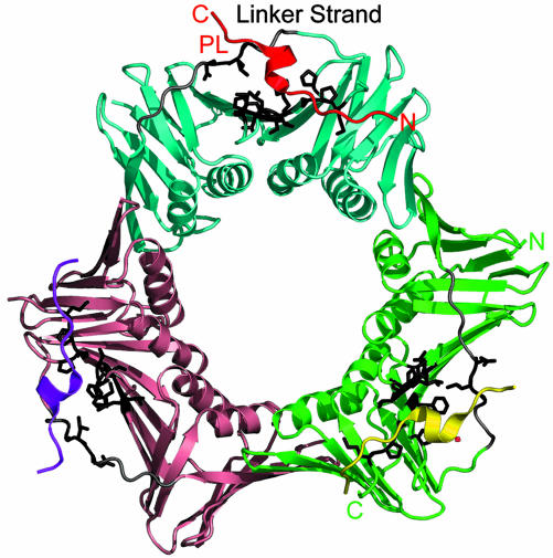 Fig. 2.