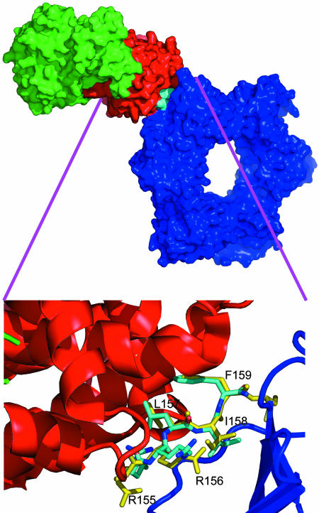 Fig. 6.