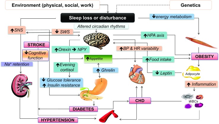 Fig. 2