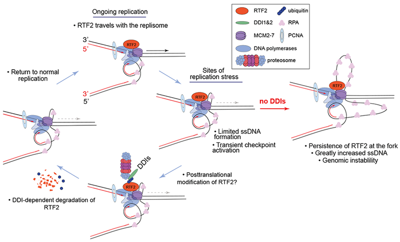 Figure 6: