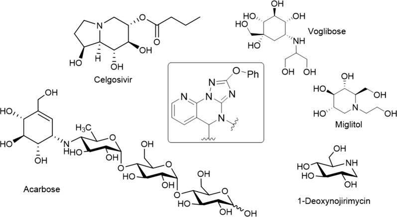 Fig. 1