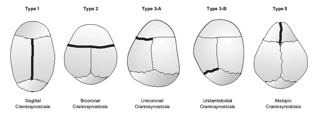 Figure 9.