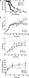 Figure 1.