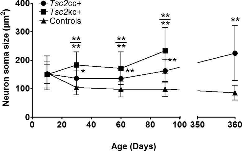 Figure 4.