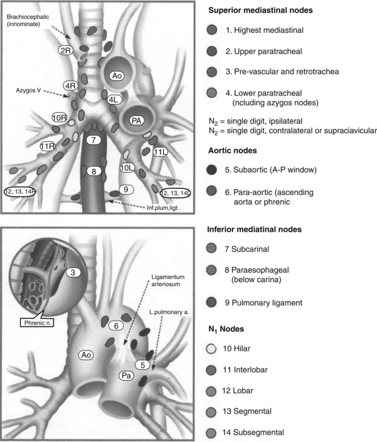 Fig 4.