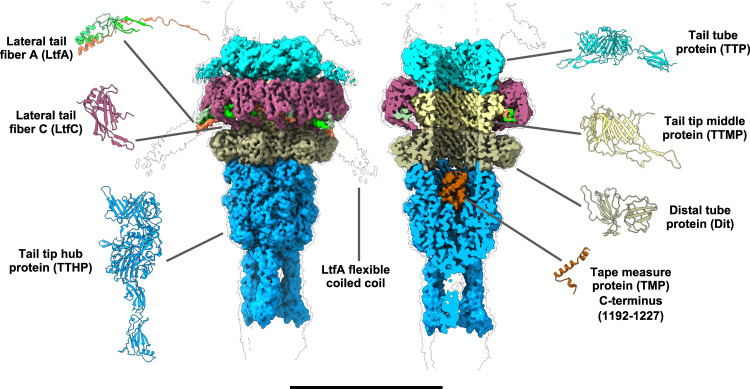 Fig. 4