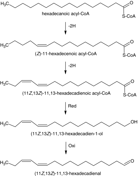 Fig. 6