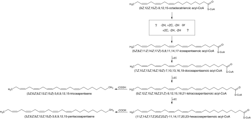 Fig. 7