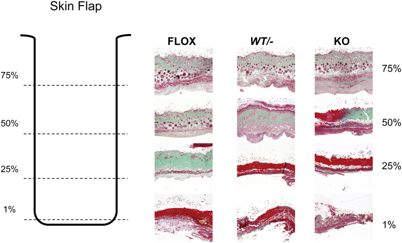 Figure 5