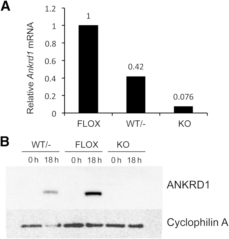 Figure 2