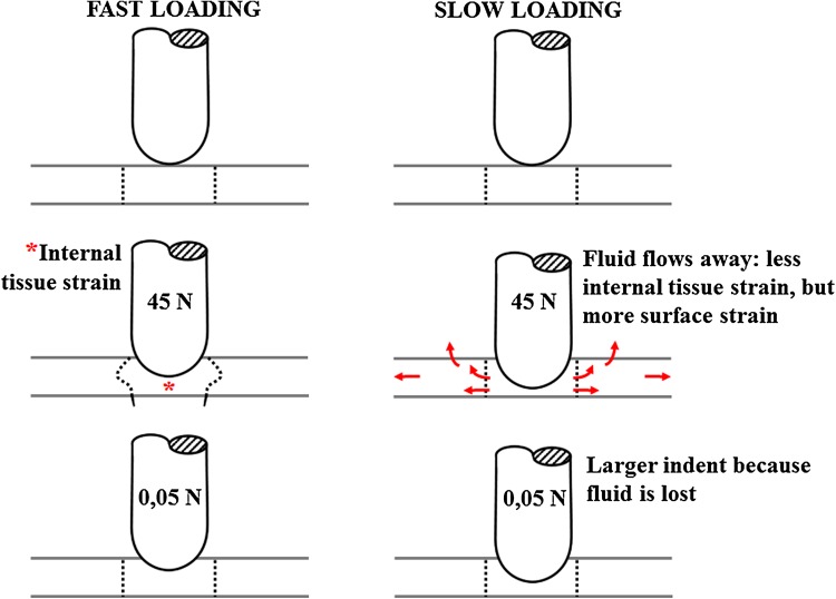 Figure 7