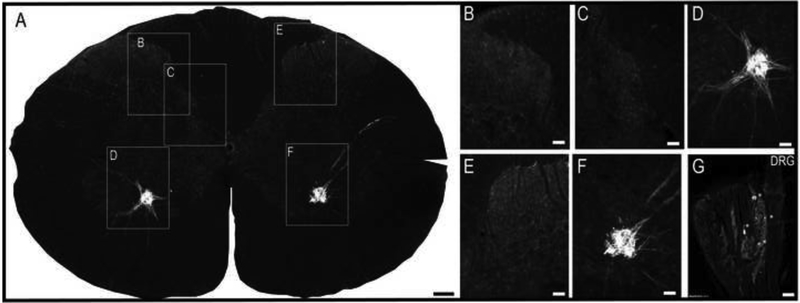 Figure 9.