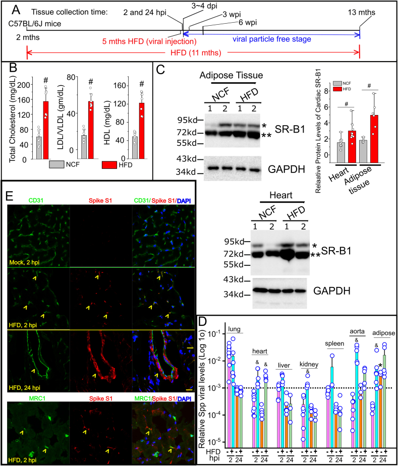 Figure 2