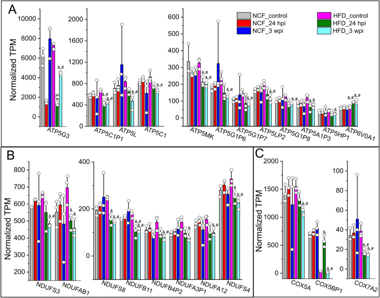 Figure 4