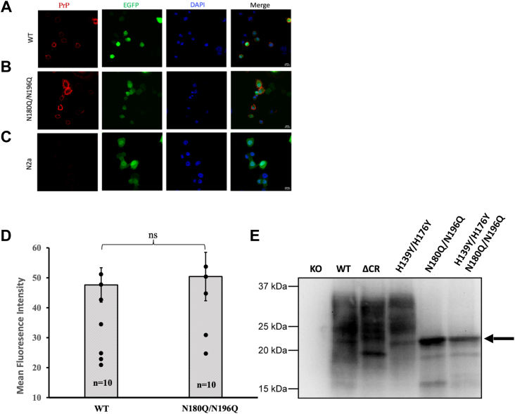 Figure 6