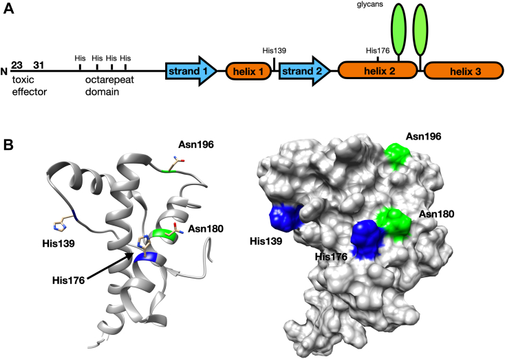 Figure 1