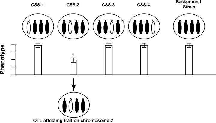 Figure 1.—