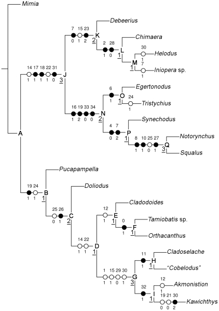 Figure 13