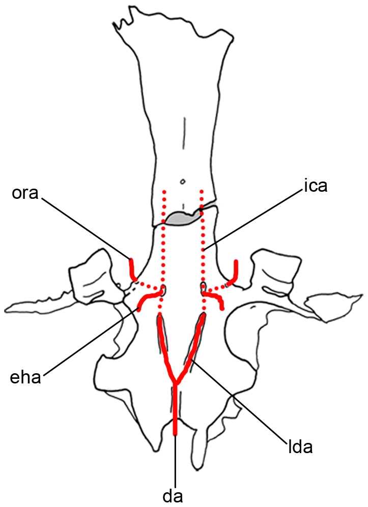 Figure 14