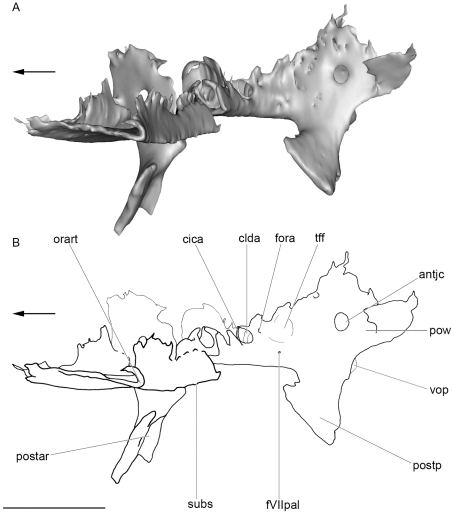 Figure 10