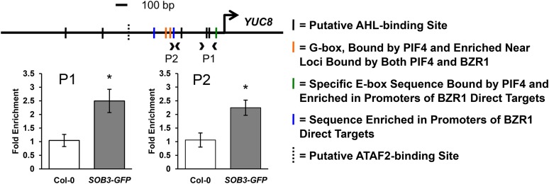 Figure 6.