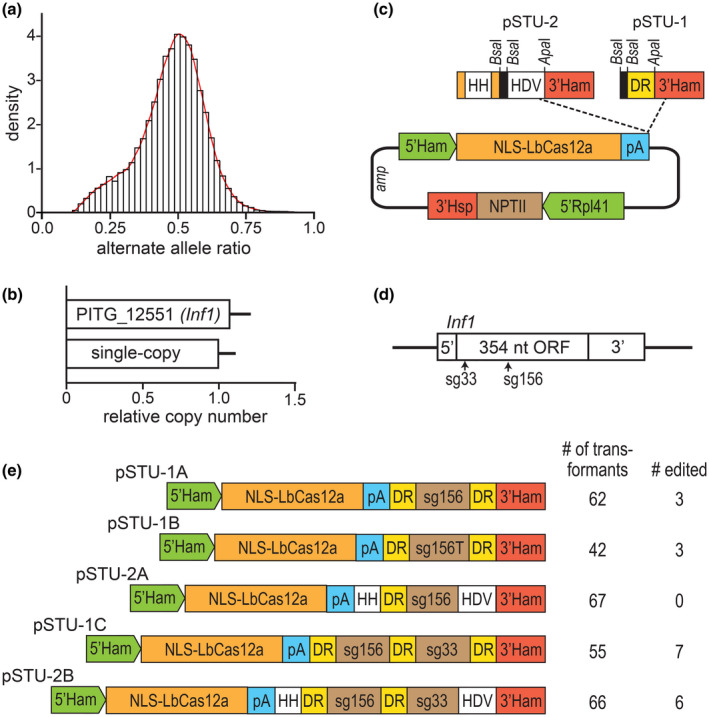 FIGURE 2