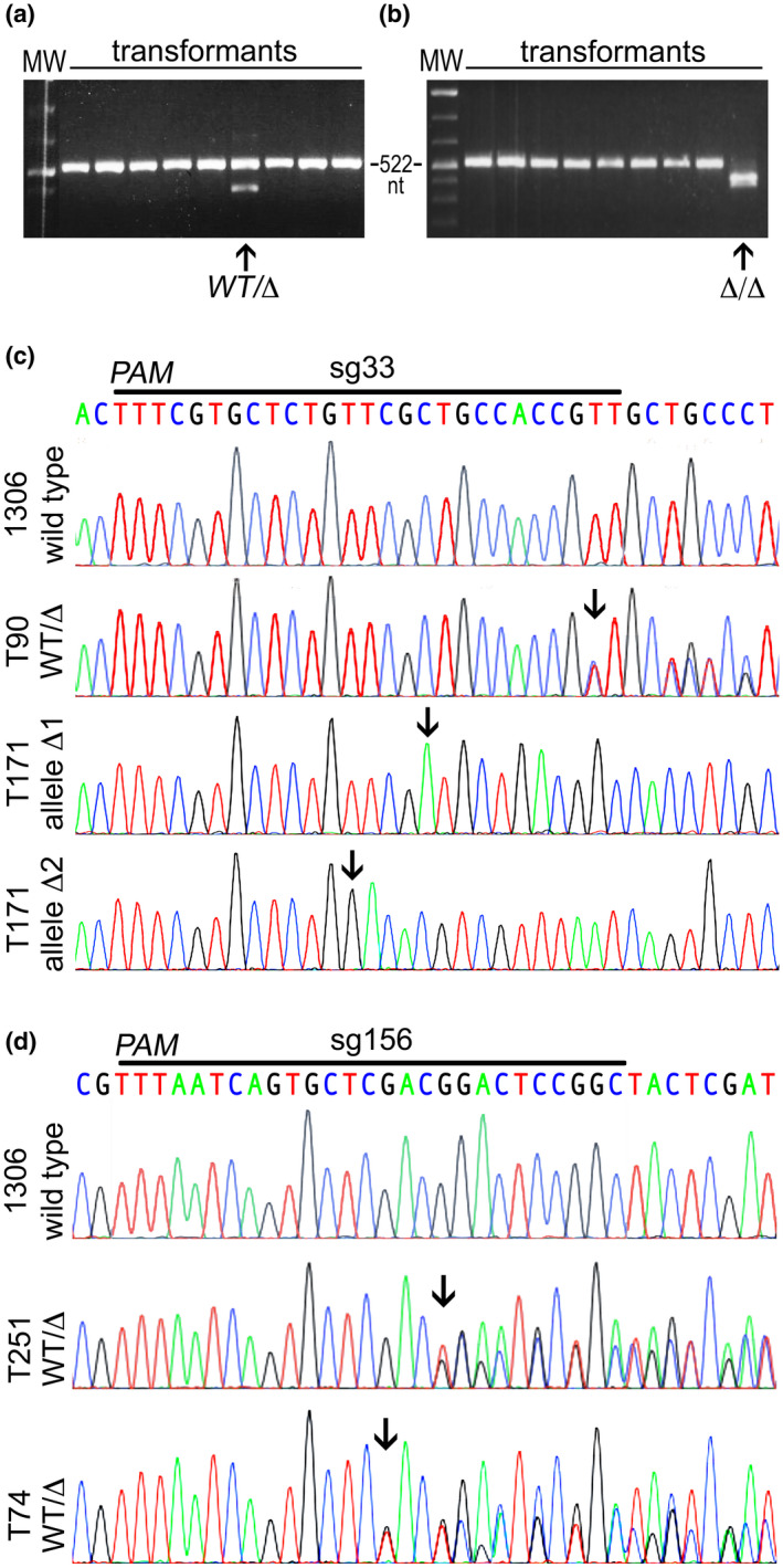 FIGURE 3