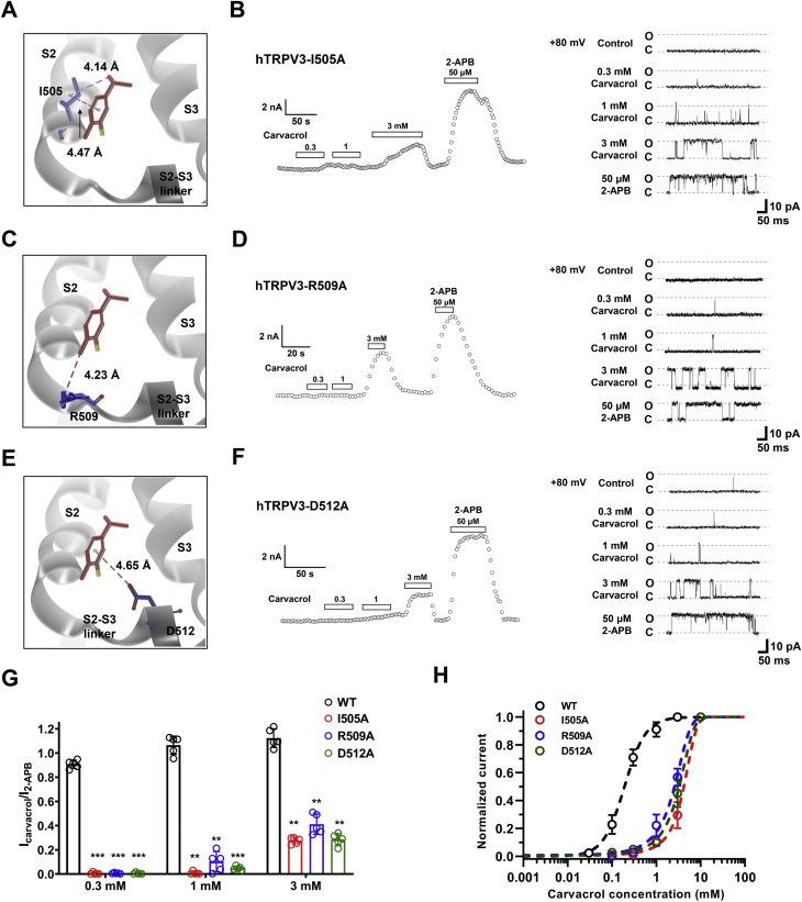 Figure 5