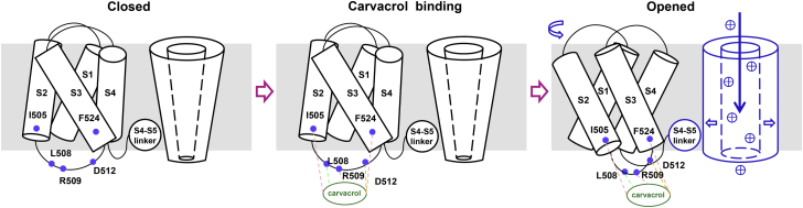 Figure 6