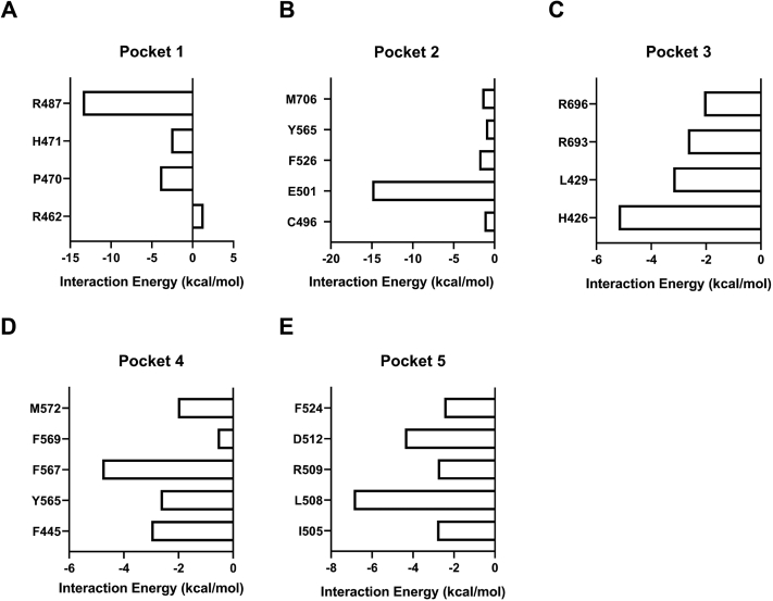 Supplemental Figure S1