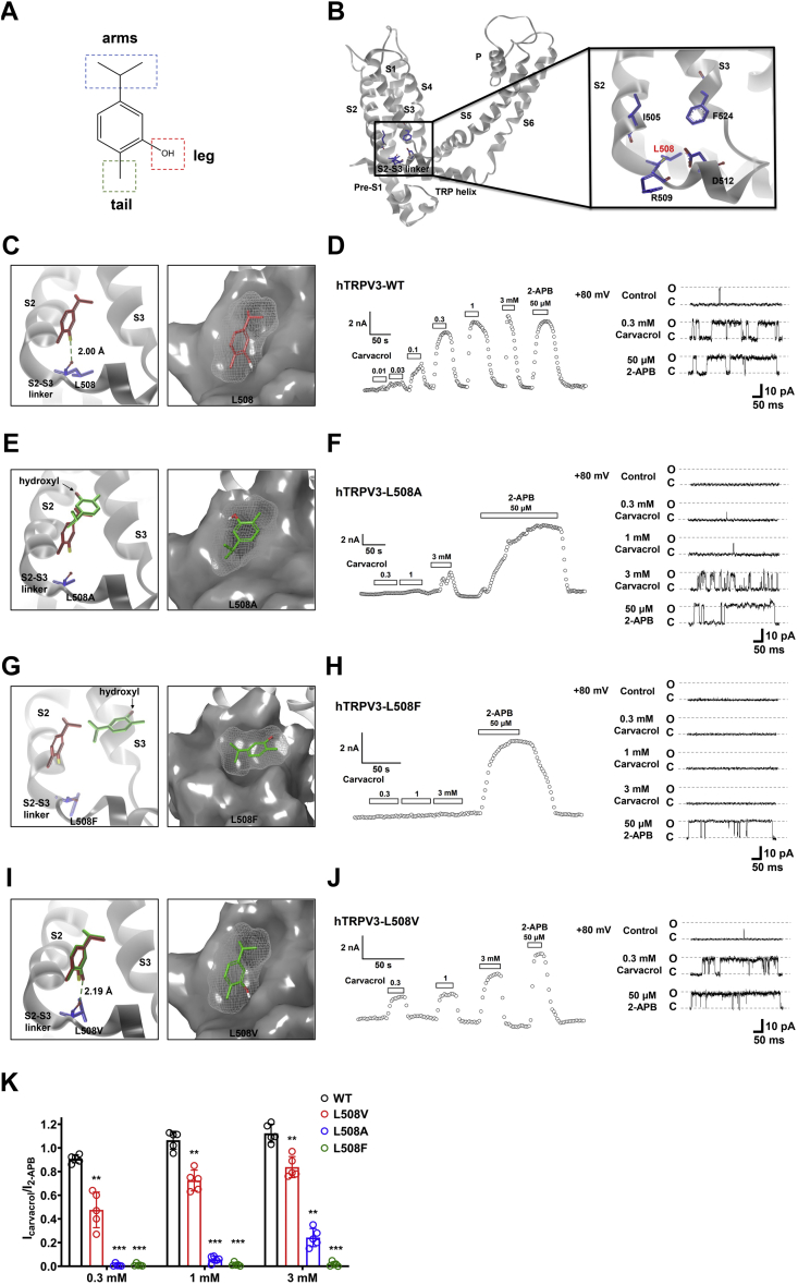 Figure 4