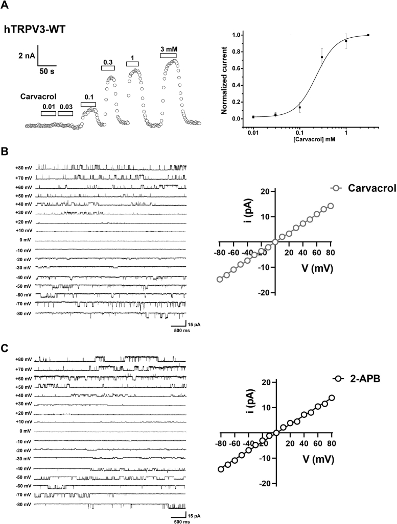 Figure 1