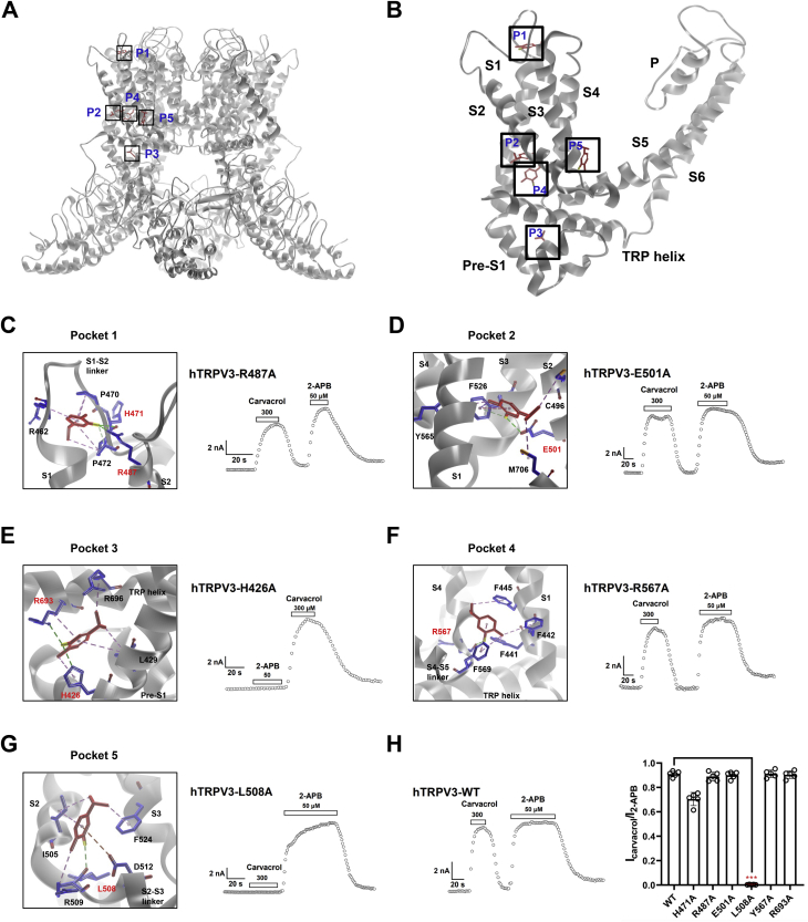 Figure 3