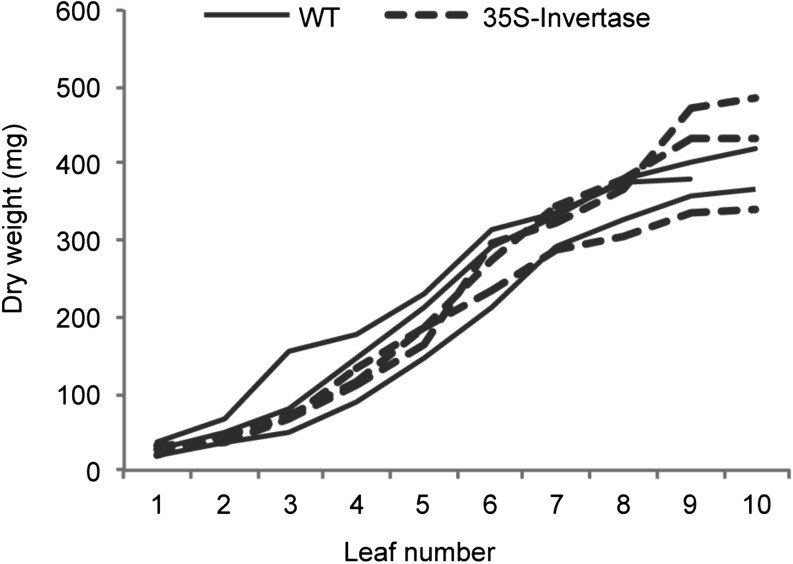 Figure 5.