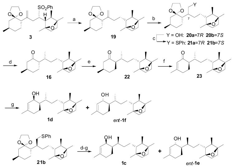 Scheme 5