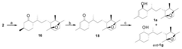 Scheme 4